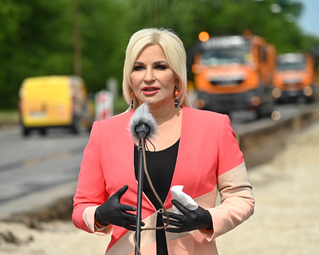 Зорана Михајловић: Глас за будућност